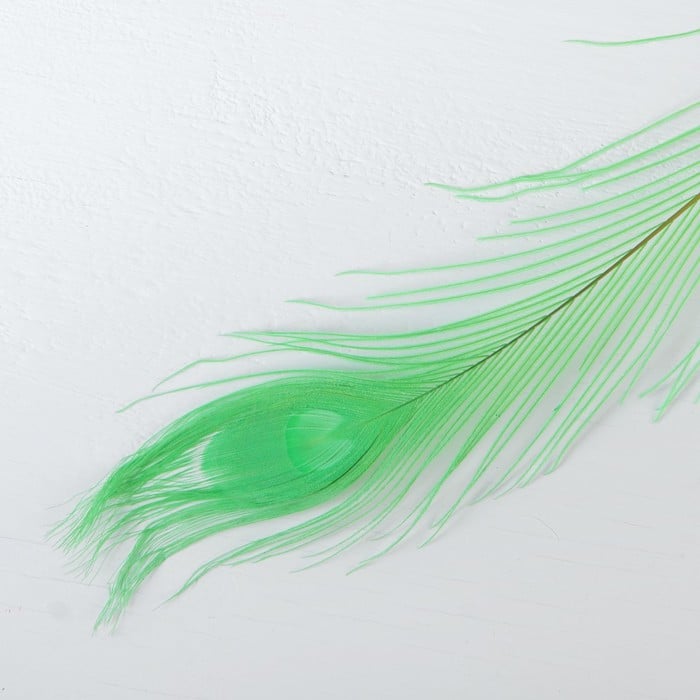 Перо павлина для декора, цвет зеленый   3801410