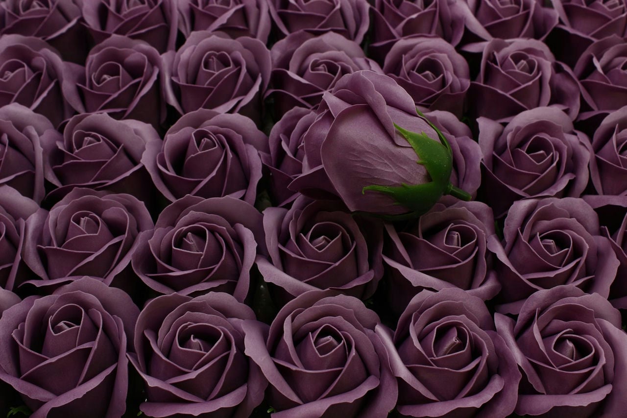 Мыльная Роза - класс А Серовато-пурпурный (5шт в 1 упак) размер: 5,5*4 см (Арт) 420055/219А